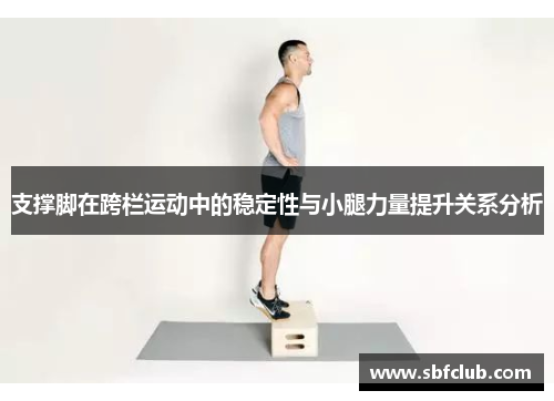 支撑脚在跨栏运动中的稳定性与小腿力量提升关系分析