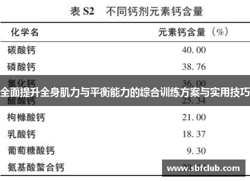 全面提升全身肌力与平衡能力的综合训练方案与实用技巧